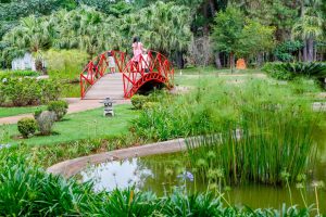 Férias no Jardim Botânico com esporte, diversão e relaxamento