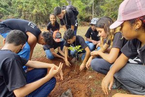 Visitas guiadas e lições sobre a natureza no Jardim Botânico