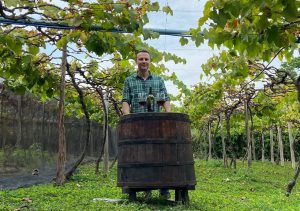 Vinhedo Lacustre, a primeira vinícola urbana da cidade