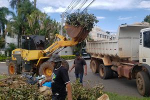 Dez toneladas de lixo a menos no Sudoeste