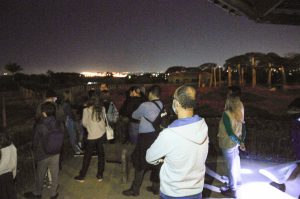 Visitantes já podem se inscrever para participar do Zoo Noturno