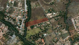 Licenciamento no Jardim Botânico é tema de debate popular