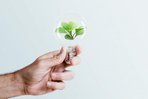 Evento para empreendedores Corporate Summit assume compromisso carbono zero