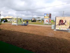 Governo discute tecnologia e sustentabilidade na AgroBrasília 2023