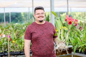 Ganhou flores? Veja dicas para cuidar do seu presente
