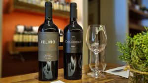 Felino Alfa, o novo vinho da Cobos é apresentado em Brasília pelo sommelier da Grand Cru