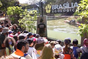 Inscrições abertas para a 2ª Colônia de Feras de 2023