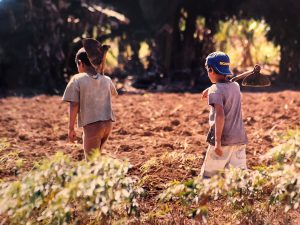 Exposição celebra o Dia de Combate ao Trabalho Infantil com acervo de fotografias clicadas por auditores fiscais em 1990