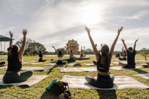 Descubra a Rota Natural para se conectar com a natureza