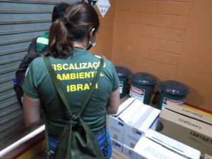 1.410 ações de fiscalização ambiental no primeiro semestre