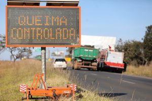 Fogo controlado ajuda a preservar Cerrado contra incêndios florestais