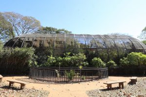 Borboletário do Zoo de Brasília reabre para visitação