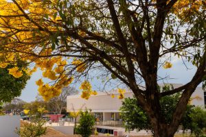 Primavera no MAB: Memórias, democracia e diversidade encerra o mês de setembro