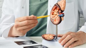 Conferência Internacional de Nefrologia aborda o uso da inteligência artificial em transplantes de rim