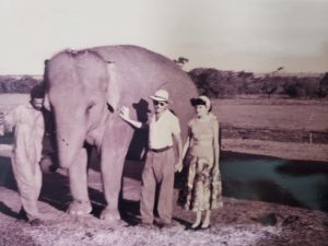 Ex-funcionário do Zoo relembra trajetória: ‘Construí os primeiros recintos’