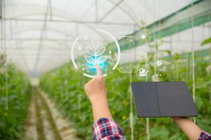 Tecnologias inovadoras para o agro são tema de painel na Expoabra