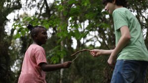 Festival Literário Histórias da Floresta chega à Caixa Cultural Brasília em outubro