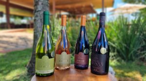 Cordeiros e Vinhos no Dom Francisco