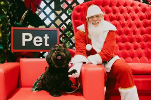 Pets terão dia especial com Papai Noel do Conjunto Nacional