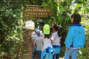 DF oferece opções de ecoturismo para divertir criançada de férias