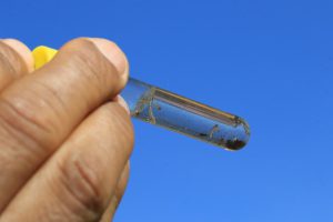 Conheça as variações do vírus transmitido pelo Aedes aegypti