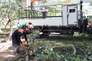 Operação de recolhimento de resíduos vegetais começa na segunda (22)
