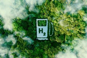 Sancionada a Política Distrital do Hidrogênio Verde