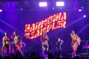 Carnaval além do samba: no DF, a folia é para todos os gostos e estilos