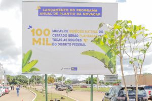 Programa de Arborização vai plantar 100 mil mudas nativas no DF em 2024