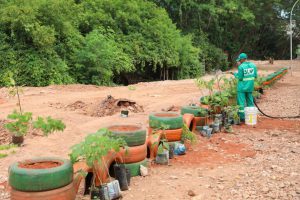 Projeto De Cara Nova une consciência ambiental e combate à dengue