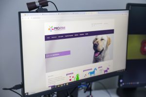 Cresce o número de apurações de maus-tratos a animais no Distrito Federal