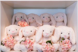 Remembear prepara evento de lançamento da coleção de Páscoa, no  sábado (16), em sua loja no Lago Sul