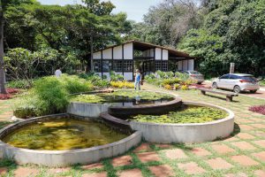 #TBT: Jardim Botânico de Brasília é refúgio da biodiversidade há 39 anos