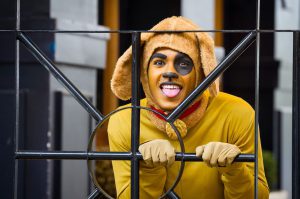 Cachorro Pamonha é a atração do Diversão no Conjunto