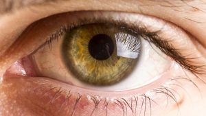 Saúde ocular: Brasília recebe primeiro encontro gratuito sobre doenças da retina