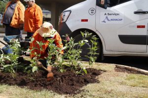 Novacap celebra Dia do Trabalhador com foco na qualidade de vida dos colaboradores