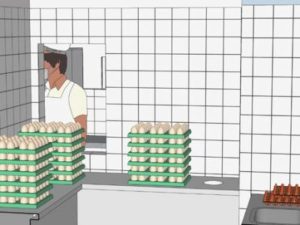 Emater-DF apresenta simulações no Circuito da Agroindústria da AgroBrasília