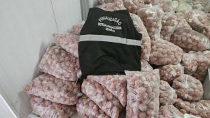 Operação integrada apreende mais de 1 tonelada de produtos sem registro