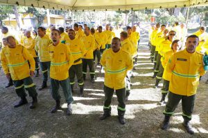 Combate a incêndios florestais recebe o reforço de 150 brigadistas