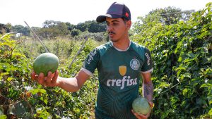 Agro do Quadrado: Técnica inovadora amplia capacidade de produção de hortaliças no DF
