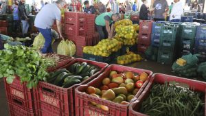 Alimentos da safra enriquecem nutricionalmente pratos típicos das festas juninas