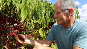 Café especial conquista espaço no mercado brasiliense e estimula novas produções rurais