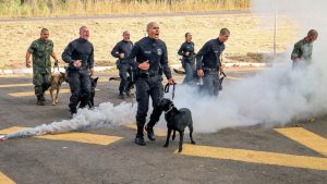 Formada primeira turma do curso de operações com cães da Academia de Polícia Penal do DF
