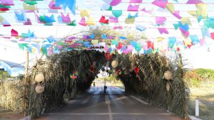 Novacap e Secretaria de Obras e Infraestrutura promovem festa junina no dia 27