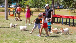 Programa projeta um ParCão em cada região administrativa do DF