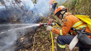 Bombeiros do DF completam duas semanas de combate aos incêndios florestais no Pantanal