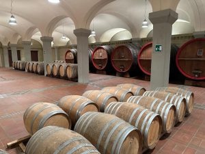 Expovitis Brasil 2024: segundo dia consolida evento como essencial para a vinicultura nacional