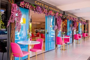 Café de Andrade está de cara nova: Cafeteria expande operação ampliando espaço e novas opções no menu