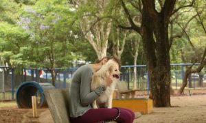 Cuidados Essenciais para a Saúde Respiratória dos Pets no Inverno Seco de Brasília