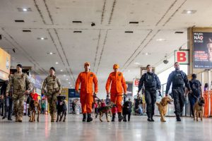 Brasília é a capital mais segura do país, com redução histórica do número de homicídios